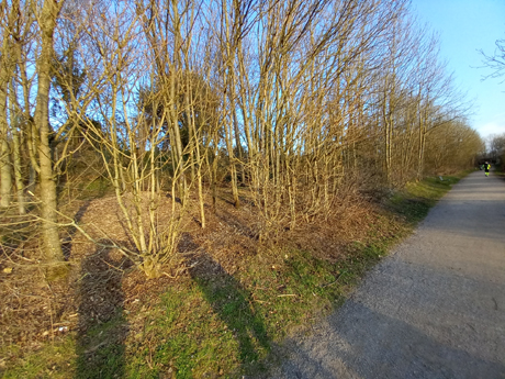 Koeln Pesch